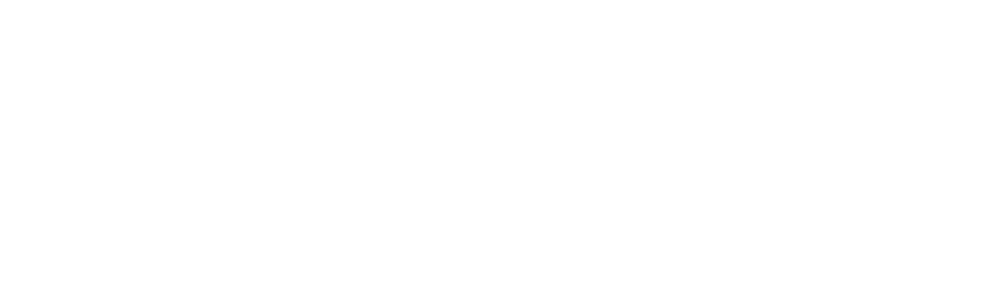 OZVASERVICE Logo